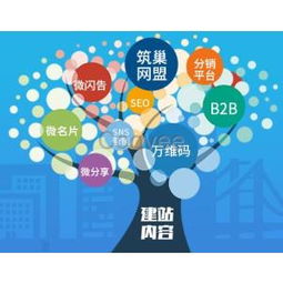 西安網(wǎng)站建設(shè)與網(wǎng)絡(luò)營銷 一站式數(shù)字解決方案專家