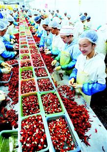 農產品加工業(yè)成荊州支柱 湖北農產品加工業(yè)突破萬億