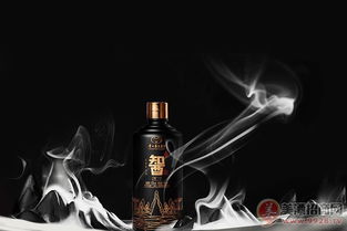 臺(tái)源智酒原一火熱招商中