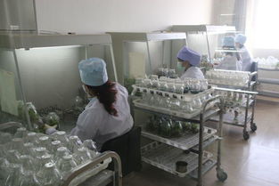 駐馬店地區(qū)考察團對西夏王葡萄酒產品質量和市場營銷給予了高度評價